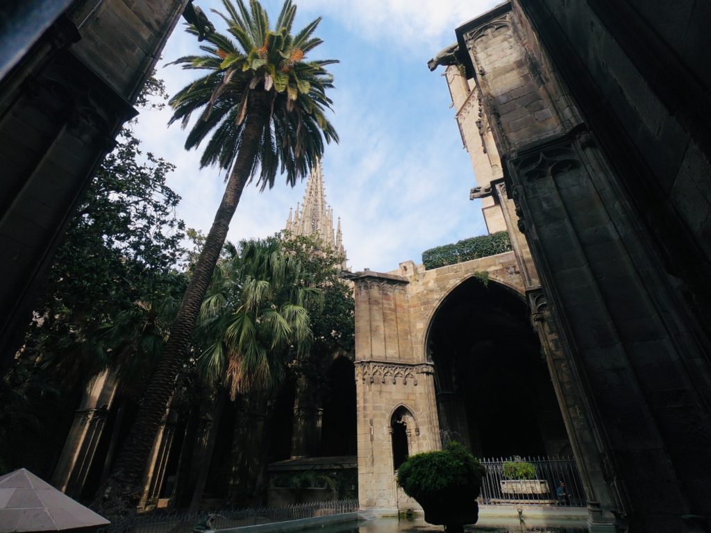 バルセロナの旧市街に建つカテドラルの観光!庭園