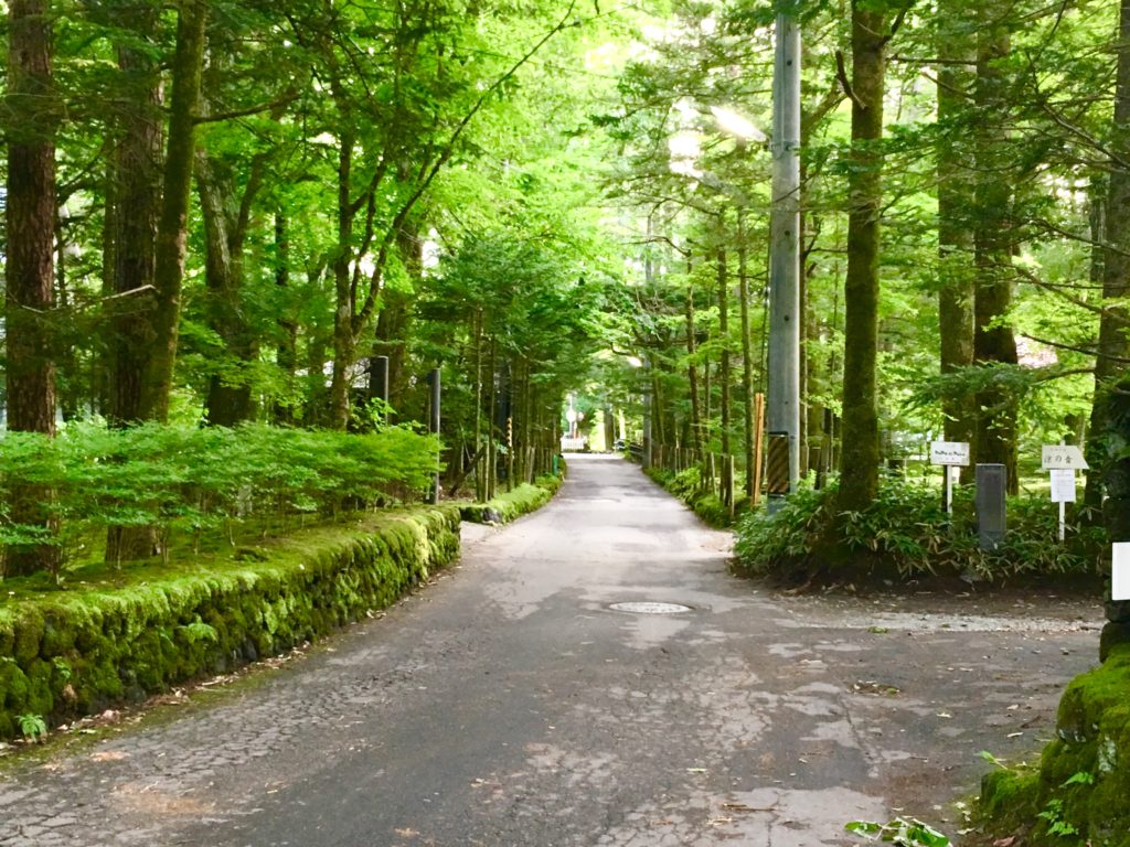 犀星の径は軽井沢サイクリングのベストロード