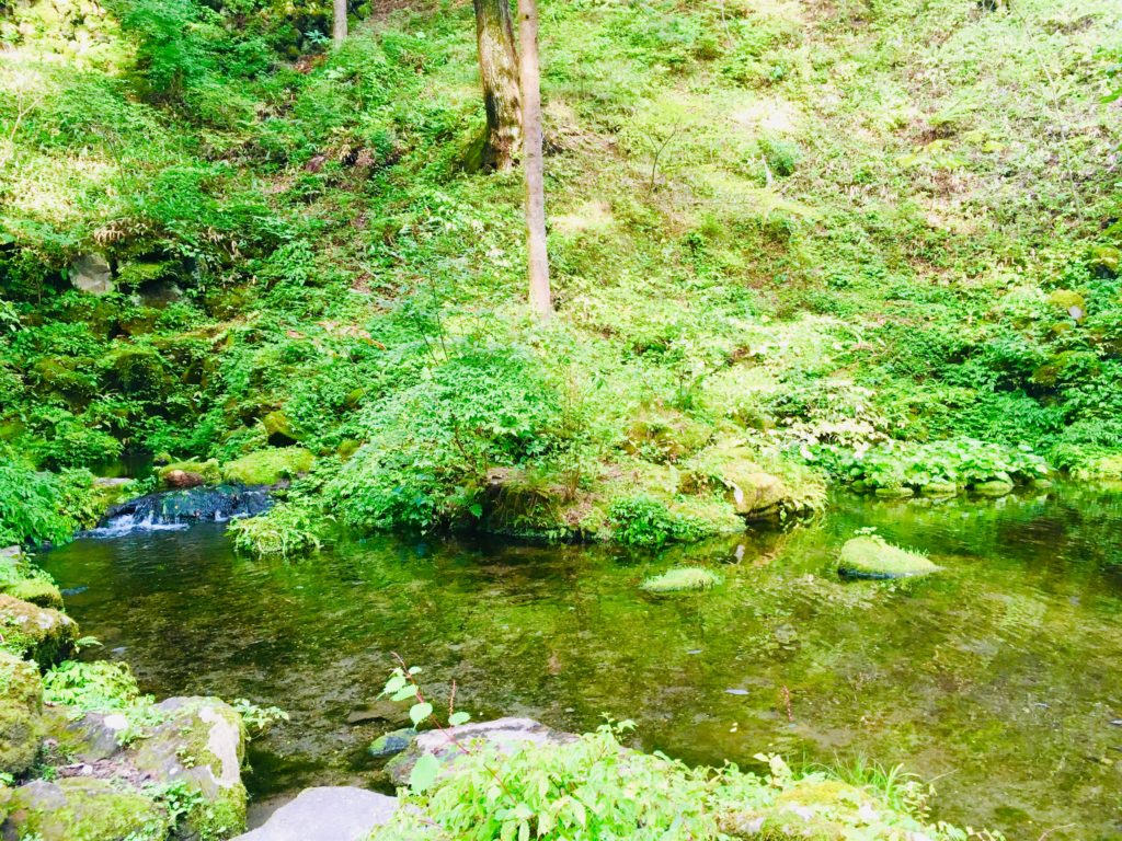 サイクリングで見つけた軽井沢の御膳水はおすすめスポット