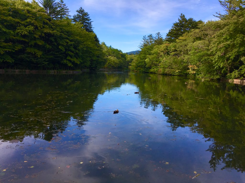 軽井沢の雲場池はサイクリングにおすすめ