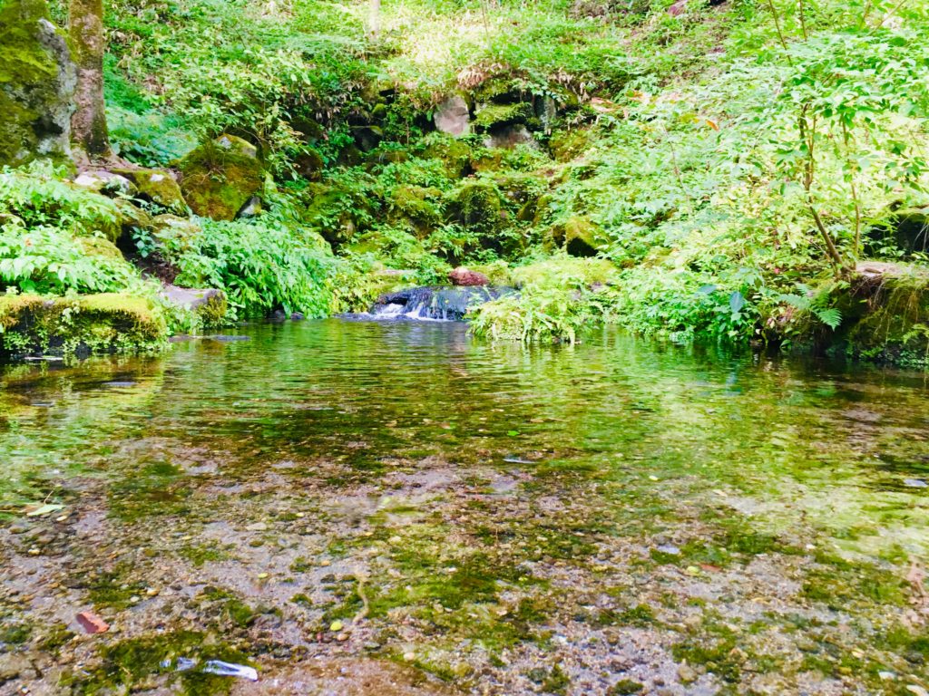 軽井沢の御膳水をみにサイクリング