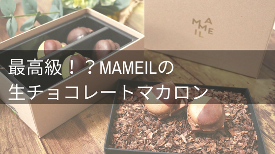 MAMEILの生チョコレートマカロンお取り寄せ口コミ・評判